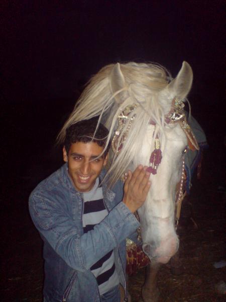 moi anouar