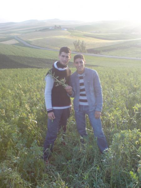 anouar